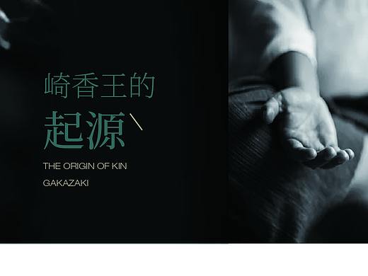 画册