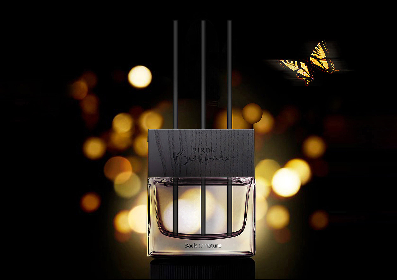 bird&buffalo高端品牌设计及藤条香薰产品包装设计方案（图ZMjA2ODQ4OTQ4） - 包装 - 站酷设计师朝歌包装设计原创素材 - 站酷ZCOOL