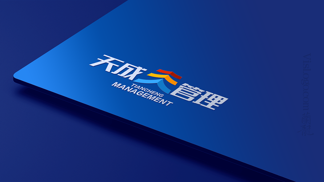 天成管理LOGO设计（图ZMjEzNjQyMDI0） - Logo - 站酷设计师兰龙品牌设计原创素材 - 站酷ZCOOL