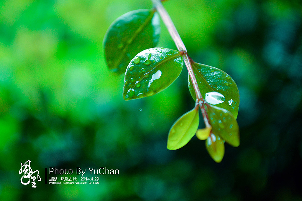 【老头拍摄】魅力湘西----凤凰古城