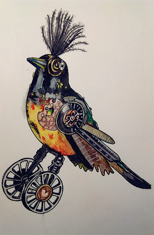 把喜欢的一组朋克鸟照片画成了水彩的|插画|创作习作|rainbowcat