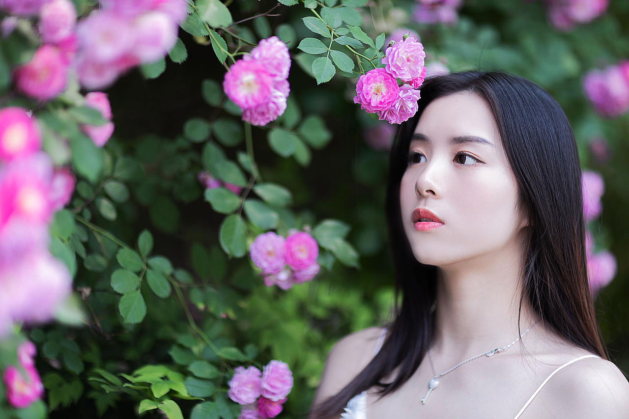 蔷薇与美女（图ZMTE0OTE3NTI4） - 人像摄影 - 站酷设计师李子木LZM原创素材 - 站酷ZCOOL