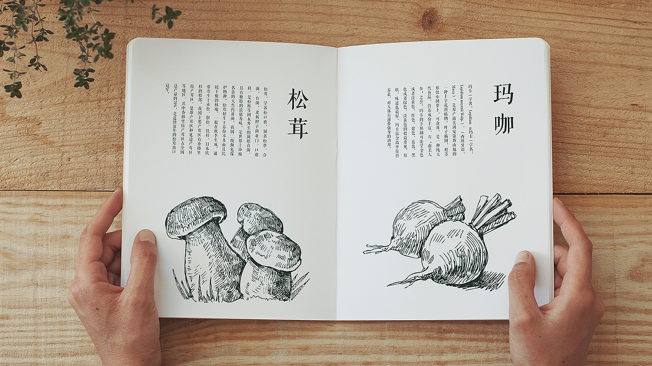 《雲南堂》品牌设计-来自深山的礼物