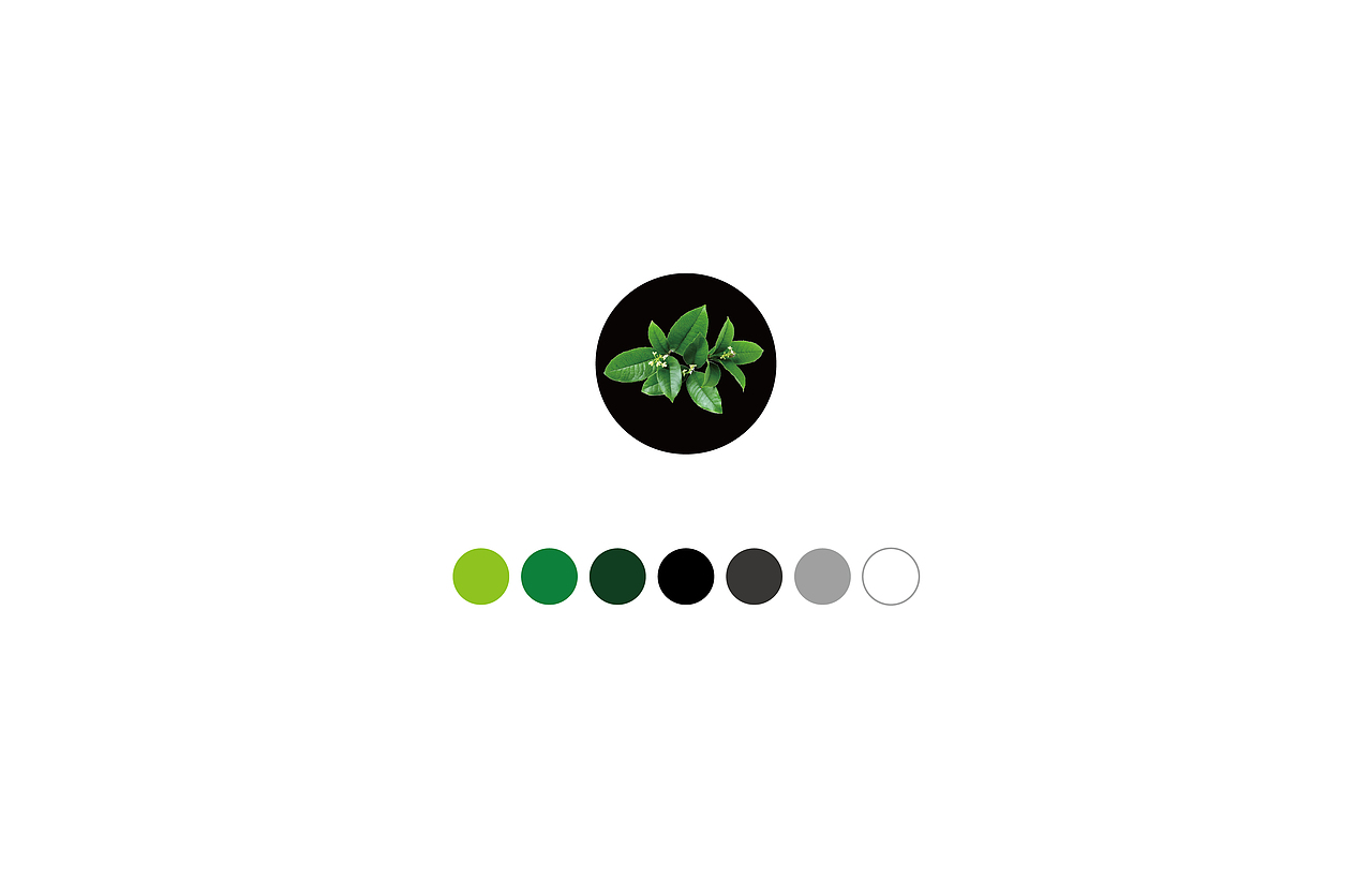 黔晴古茶（图ZMTM2MzY0MzAw） - Logo - 站酷设计师我也看过那片荒凉原创素材 - 站酷ZCOOL