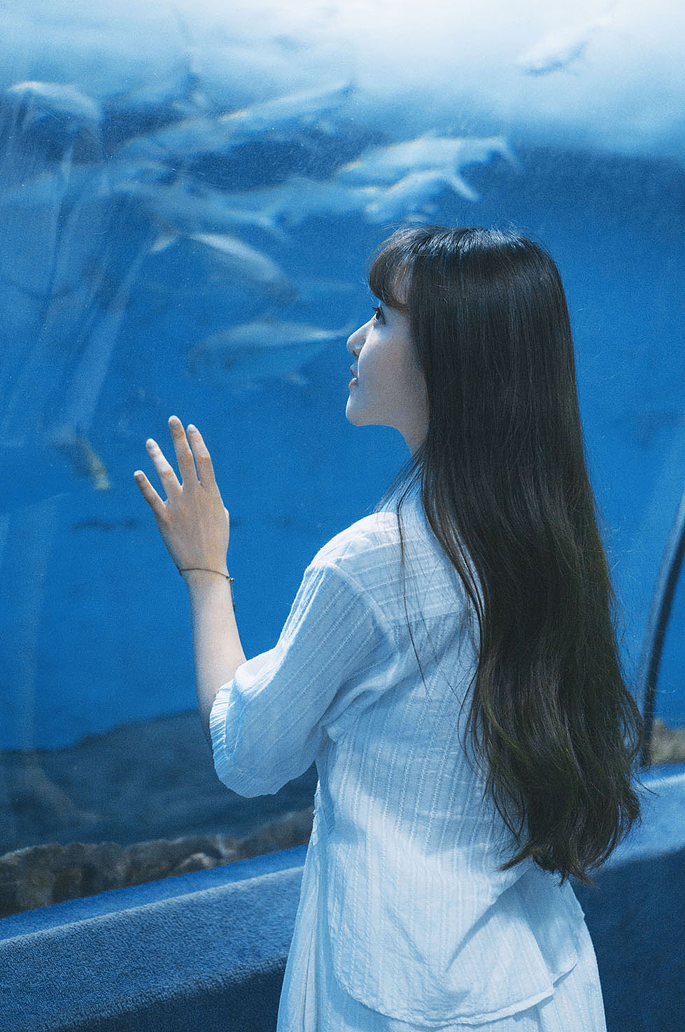 蓝色大海的传说