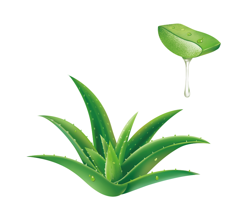 没什么名字就是画的一些小东西（图ZMjQ3NTg4ODE2） - 商业插画 - 站酷设计师无厘无辑原创素材 - 站酷ZCOOL