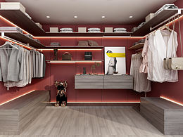 定制挂墙系统衣帽间