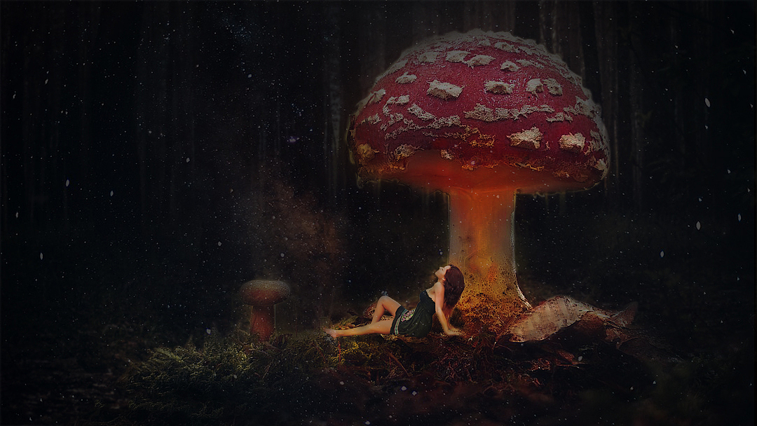 星空下的美人（图ZMTM3NjQ4ODI0） - 海报 - 站酷设计师小小网虫冬原创素材 - 站酷ZCOOL