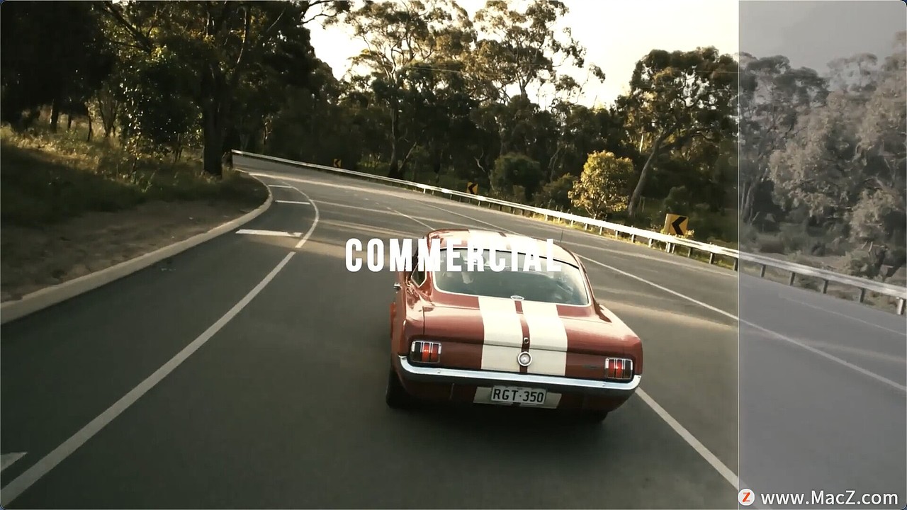 700组电影胶片黑白婚礼LUT调色预设合集