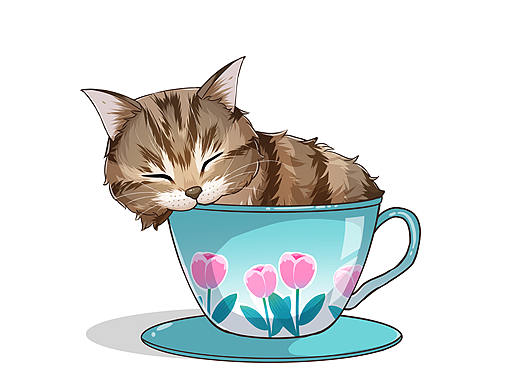 茶杯猫50