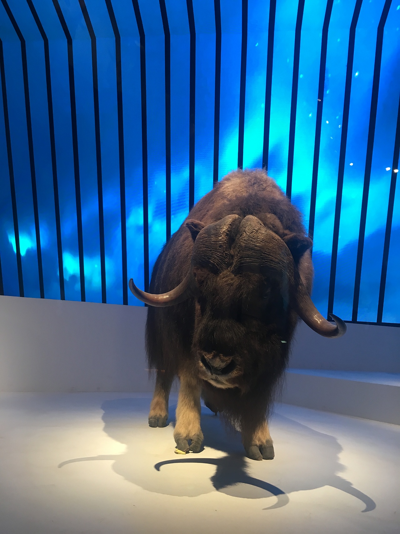 海洋博物馆（图ZMjUyMDU4OTI4） - 展陈设计 - 站酷设计师易森空间设计原创素材 - 站酷ZCOOL