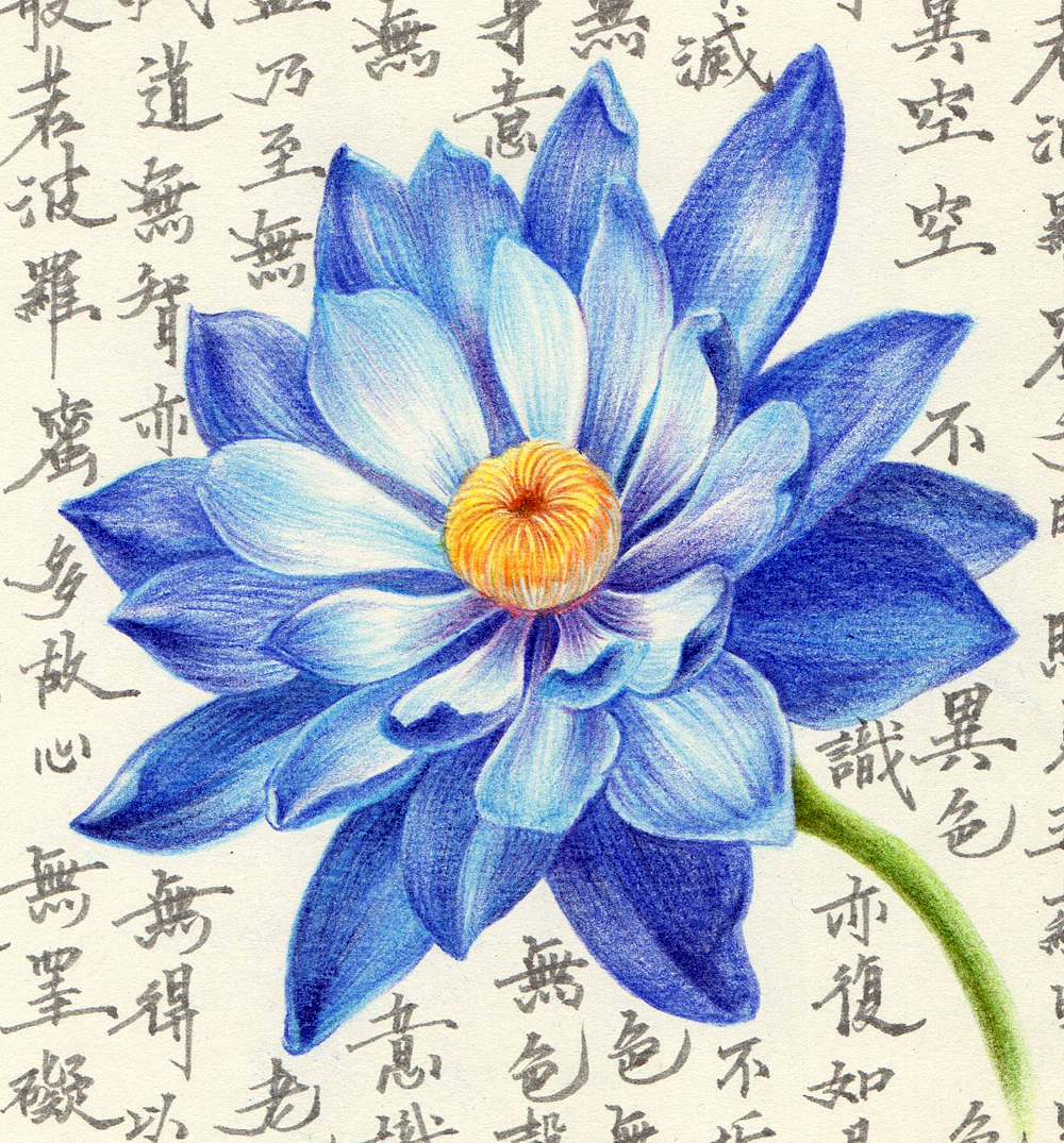 【《心经》和莲花】 手绘过程（图ZMTg2NzYwMDg=） - 绘画 - 站酷设计师傅淳强画者之旅原创素材 - 站酷ZCOOL