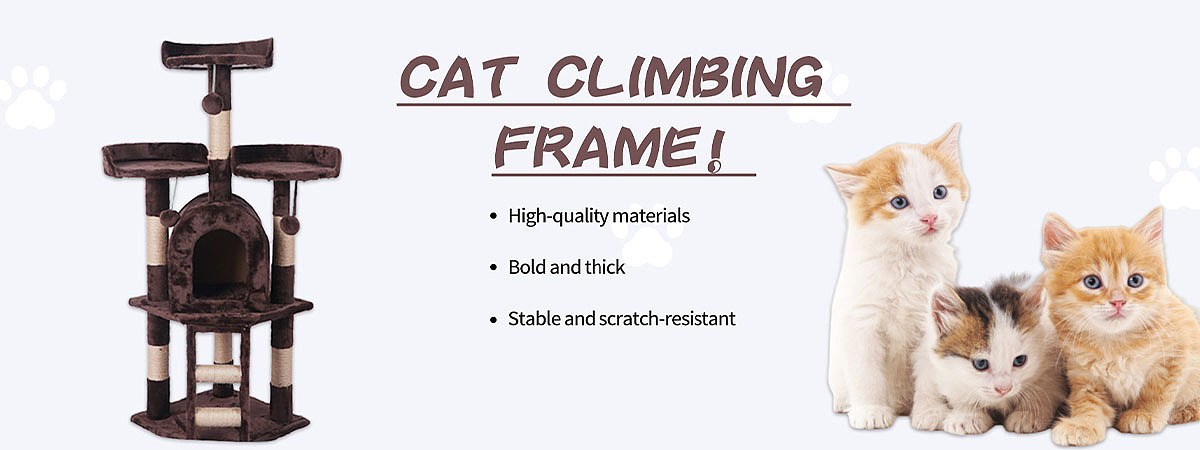 宠物用品店铺装修