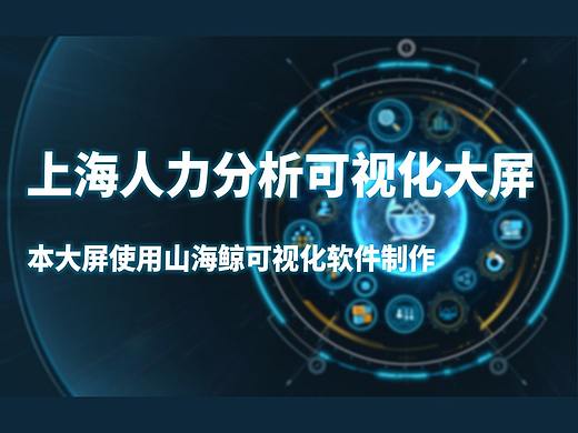 上海人力分析可视化大屏~数据可视化大屏