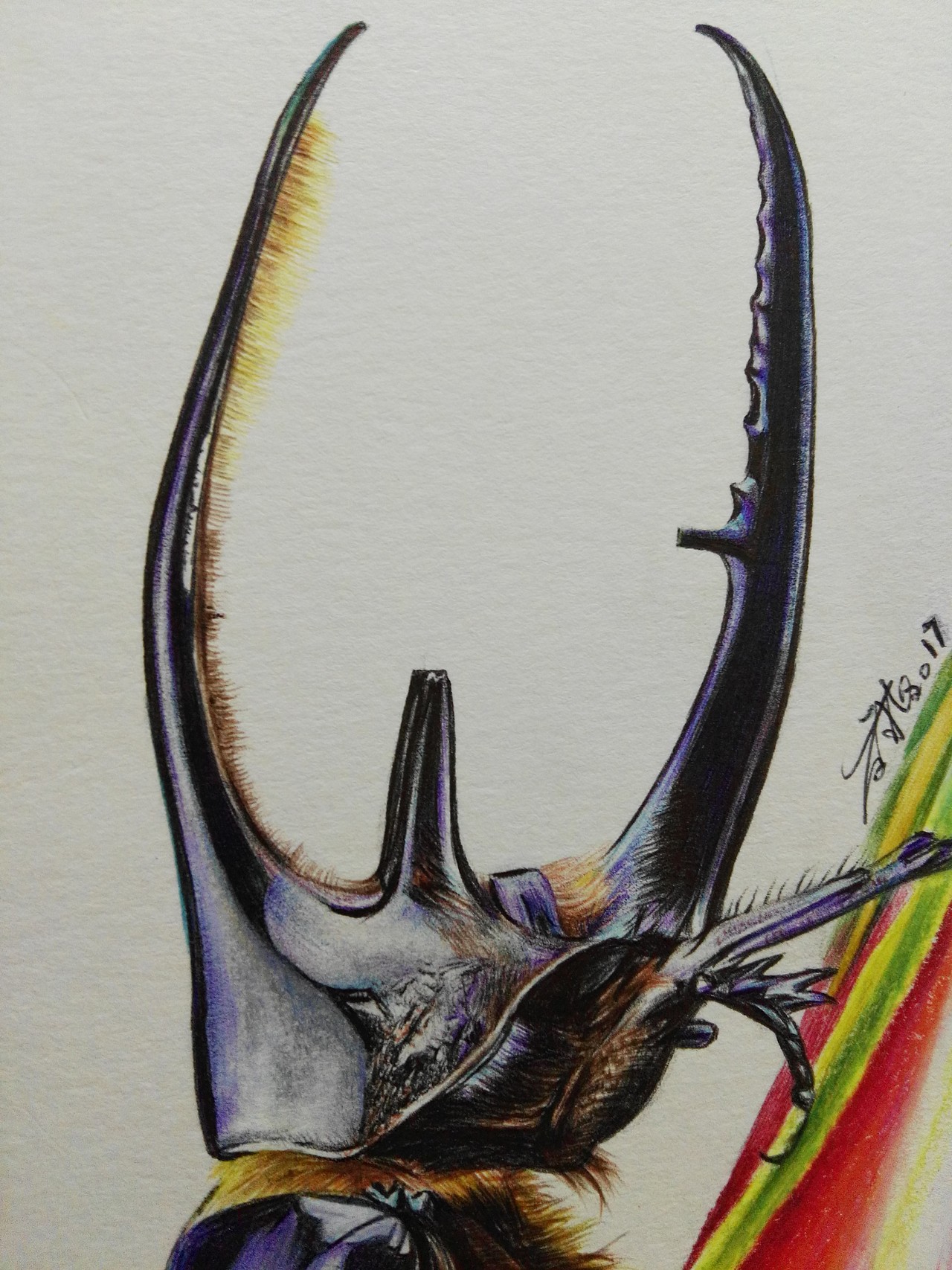 大画伤身小画怡情屎壳郎的春天