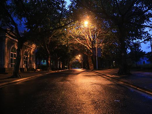 雨后小径（个人主页-ZNDYyNjIxMTY=） - 风光摄影 - 站酷设计师YOUSHUIP原创素材 - 站酷ZCOOL