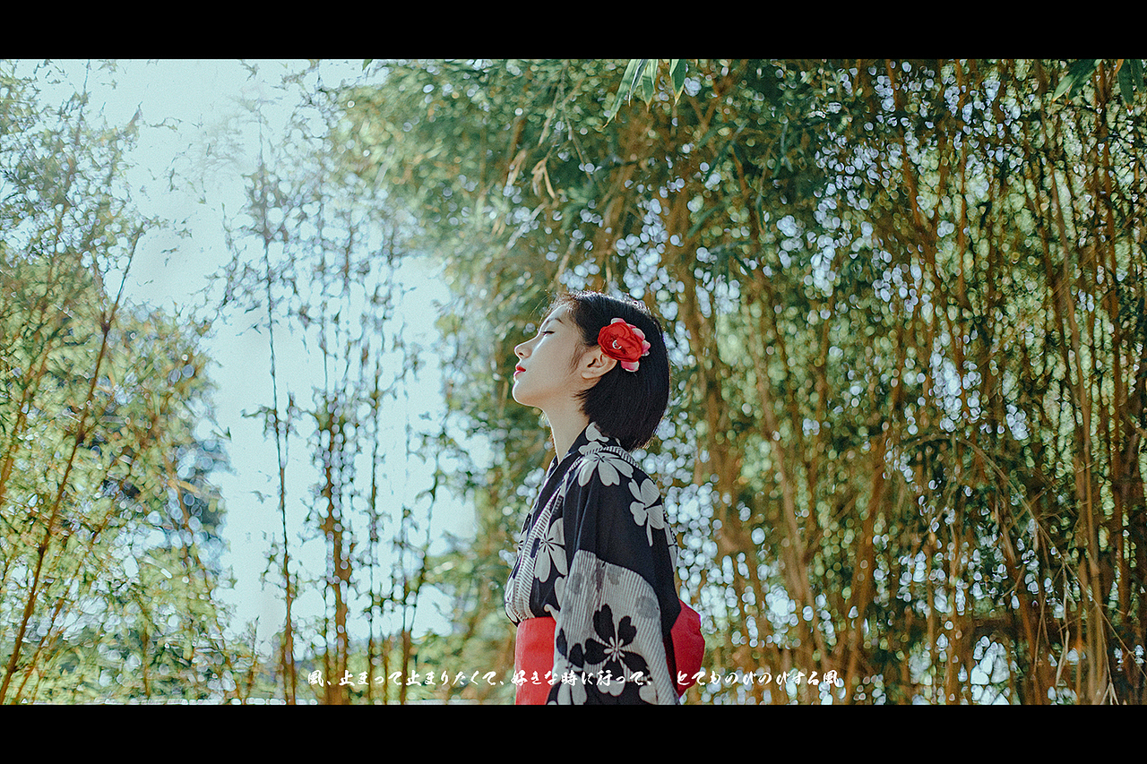 【 秋之白华 】