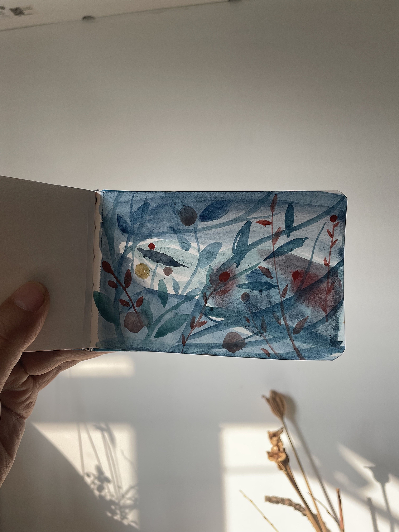 我一年的小画儿