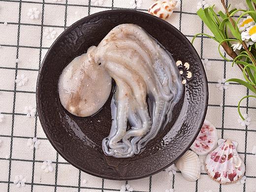 活海鲜 海蛎子章鱼