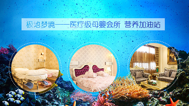 海豚音乐会（图ZODI2NTE5OTI=） - 运营设计 - 站酷设计师念以辰原创素材 - 站酷ZCOOL