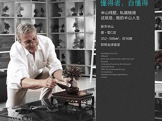 地产项目（个人主页-ZMzQwMTQ1Mjg=） - 宣传物料 - 站酷设计师吃酸奶不舔盖原创素材 - 站酷ZCOOL