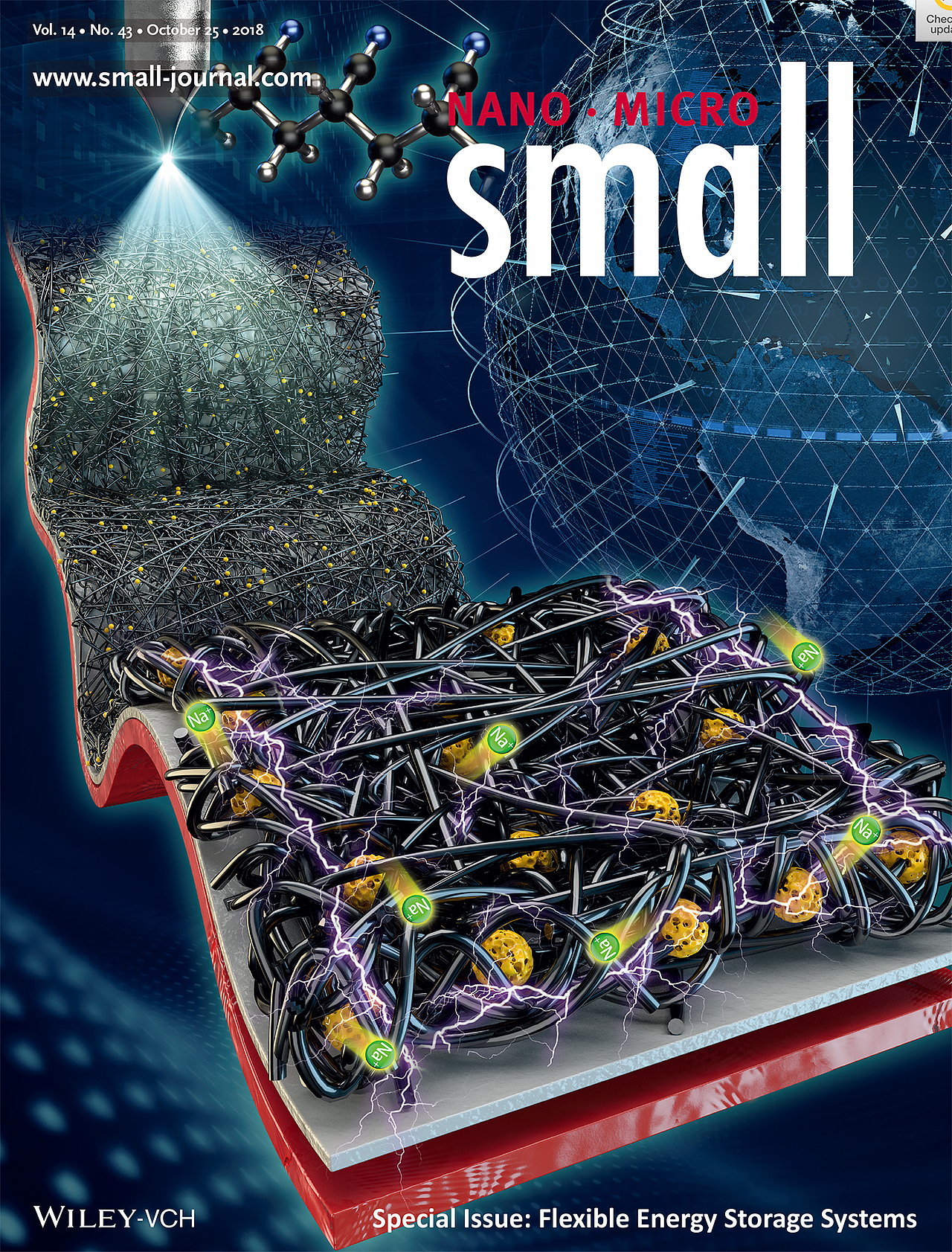 原创封面：Small ( 2018, Volume14, Issue43)