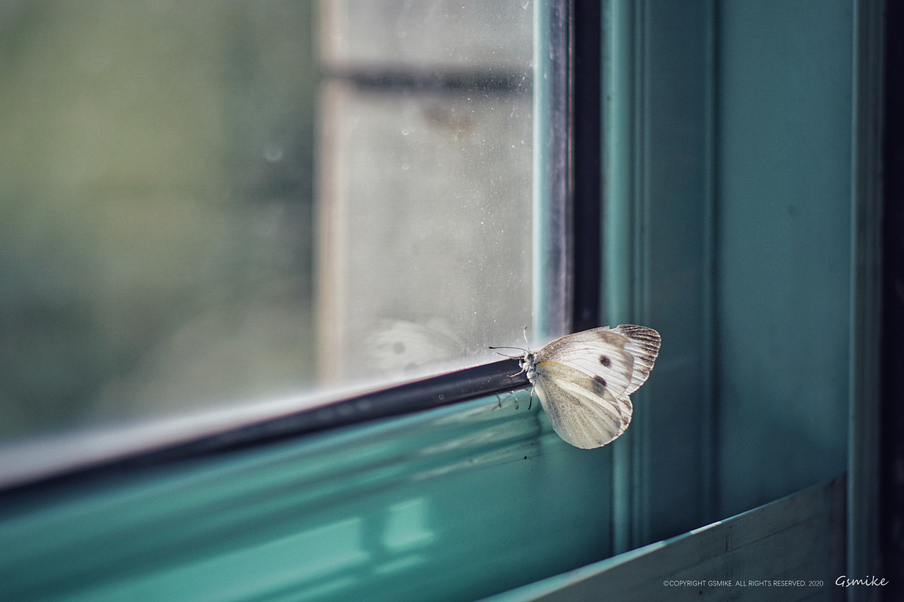 《生活的英雄》2019下半年摄影作品整理（图ZMjA0MzkwNDQ0） - 人文/纪实摄影 - 站酷设计师gsmike原创素材 - 站酷ZCOOL