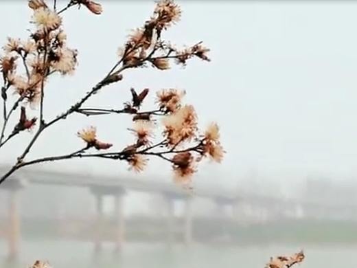 秋阳下的我们