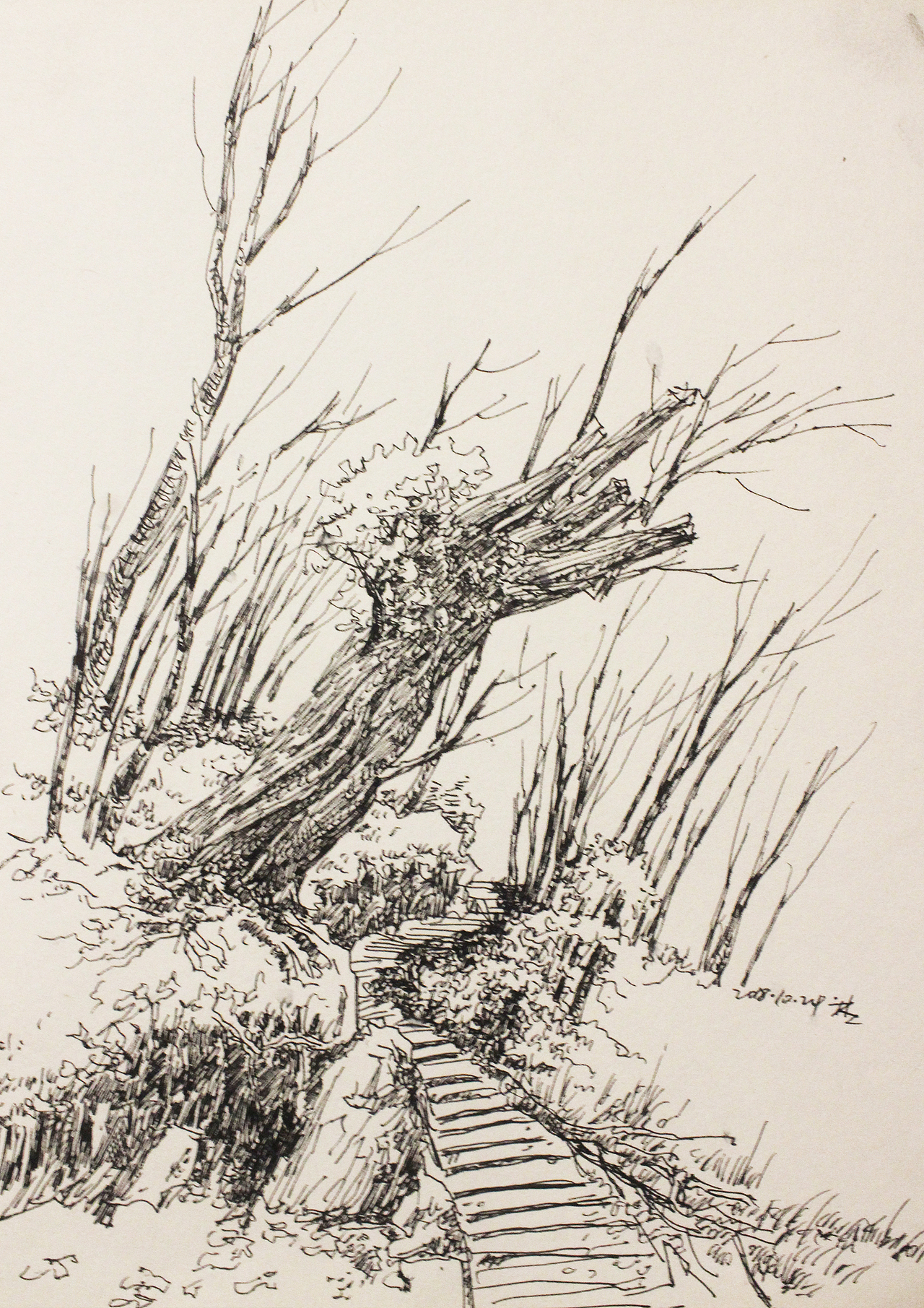 风景速写 之岚皋