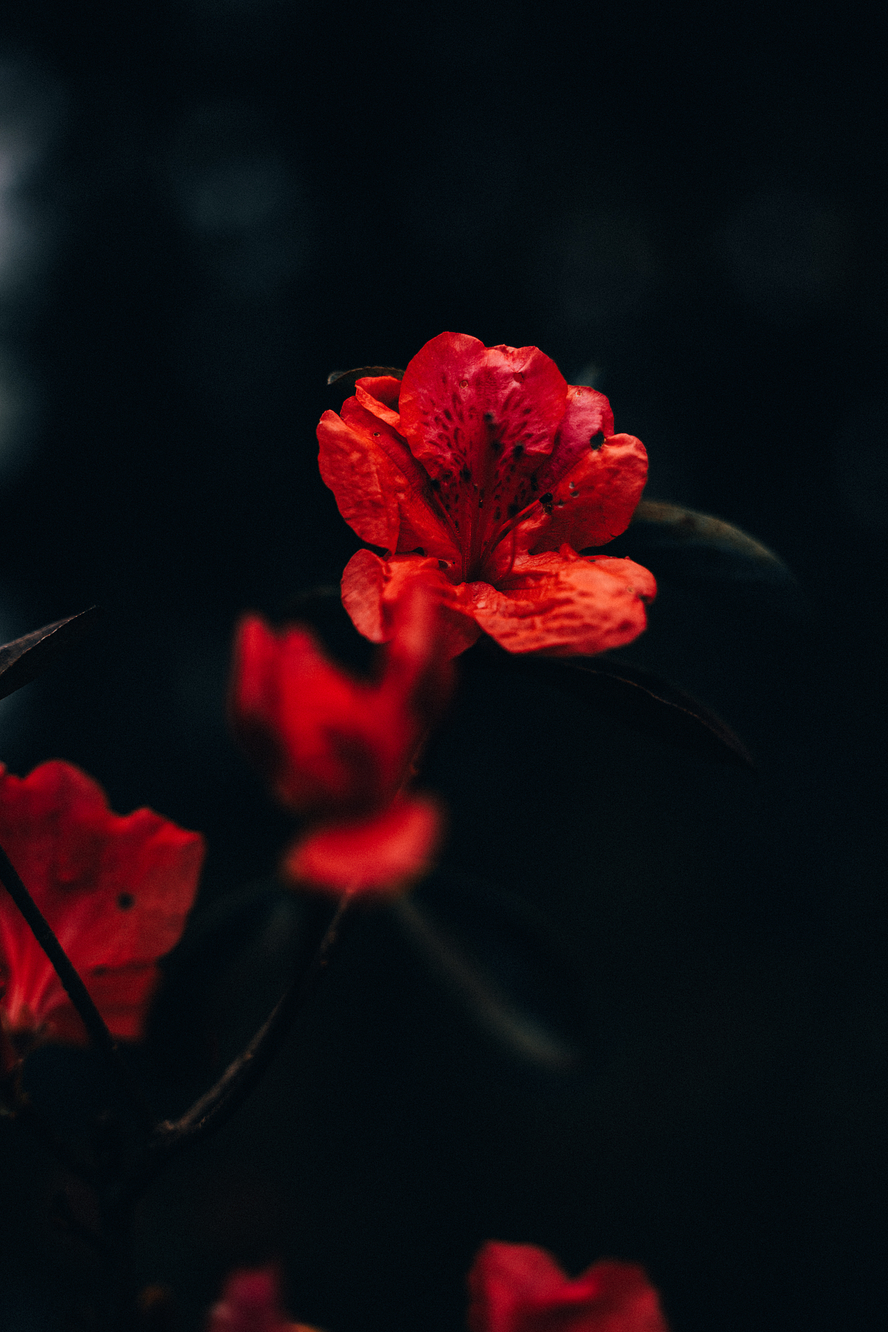 自己的路,自己欣赏。