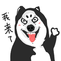 疯狂皮皮哈表情包（图ZMTYzNjE0MTM2） - 网络表情 - 站酷设计师李澔喆原创素材 - 站酷ZCOOL