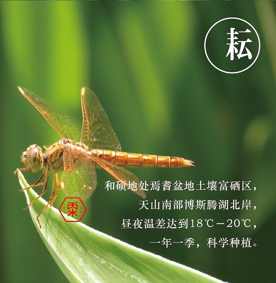DESIGN-V | 天山小米张硕黄包装升级（图ZMTkyMTY5MDAw） - 包装 - 站酷设计师湍流东西原创素材 - 站酷ZCOOL