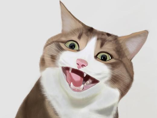 动物写实（个人主页-ZNTY4MTE3MjA=） - 创作习作 - 站酷设计师花生米212原创素材 - 站酷ZCOOL