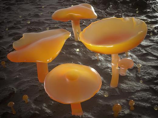 幾張C4D-OC材質(zhì)渲染練習(xí)（個(gè)人主頁(yè)-ZMzcwNDUzNDA=） - 場(chǎng)景 - 站酷設(shè)計(jì)師倘若我是只豬原創(chuàng)素材 - 站酷ZCOOL