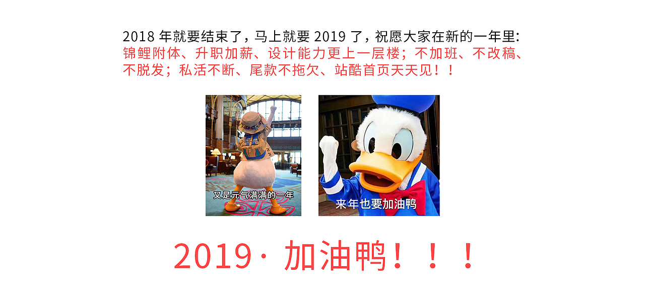 2019一起加油鸭!