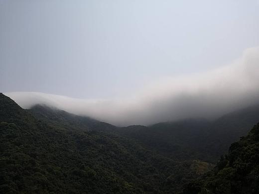 深圳的春（个人主页-ZMjY3NzUyMTI=） - 风光摄影 - 站酷设计师fighting君原创素材 - 站酷ZCOOL