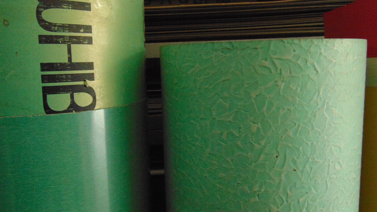 摄影2020..11.10(下)