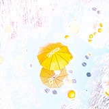 绿星星的头像