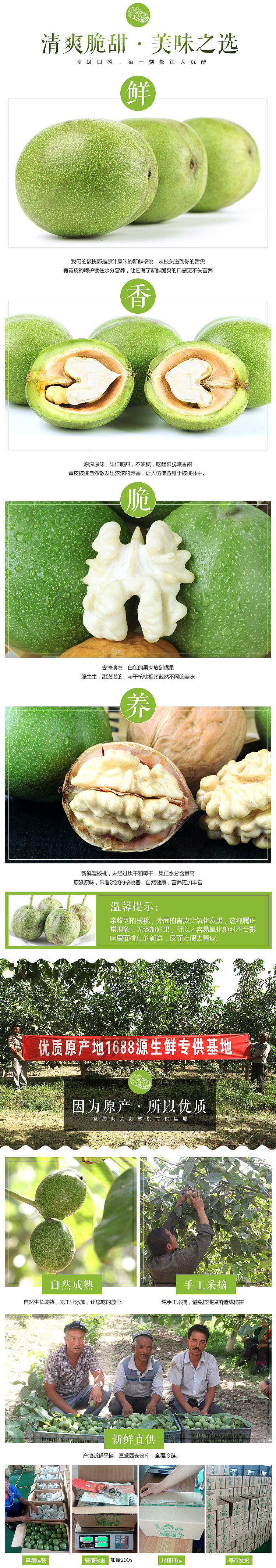 淘宝网 丝路果果 青皮核桃描述