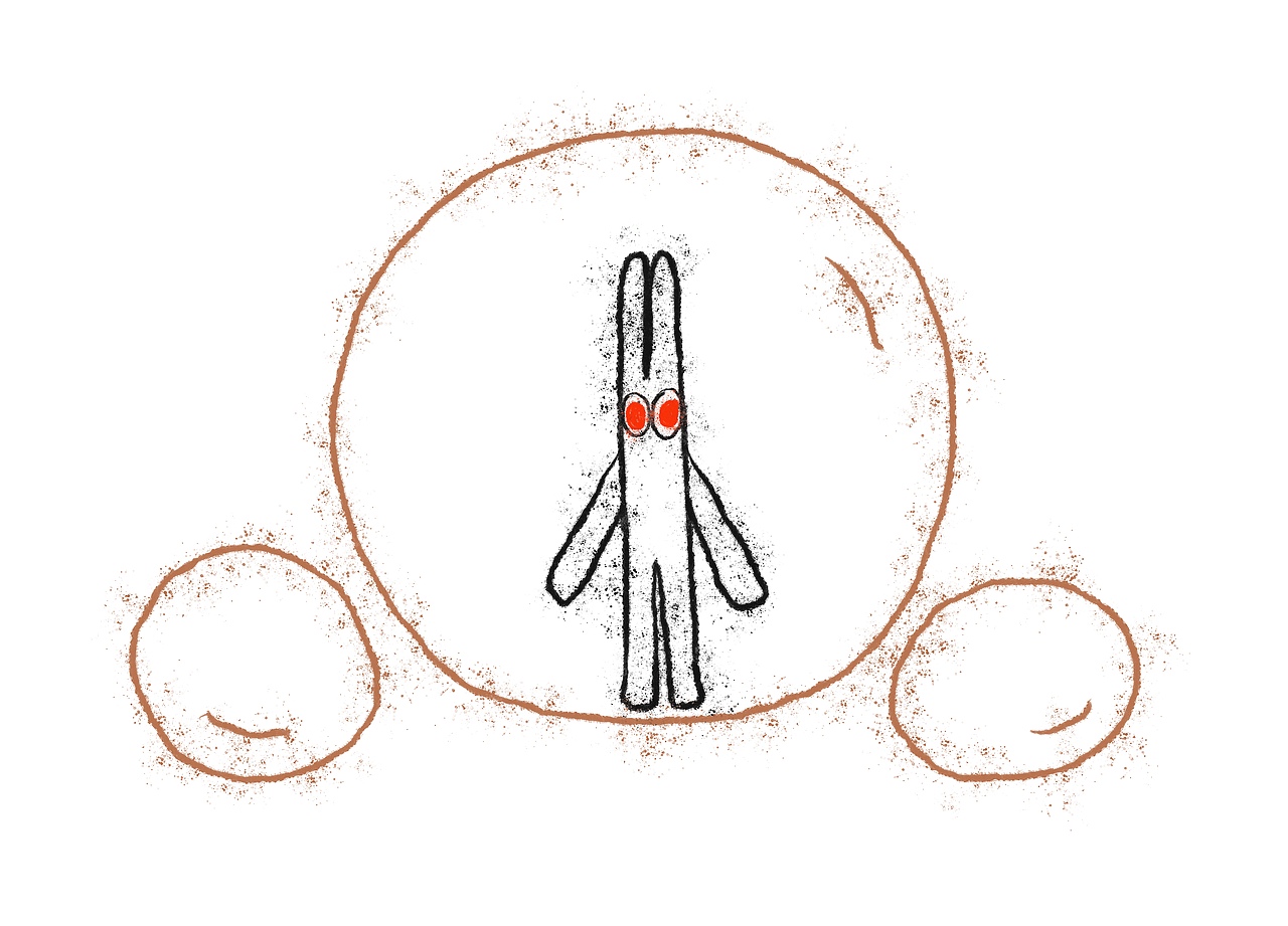 一路上都在涂鸦