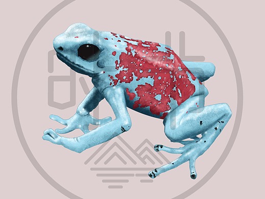 箭毒蛙插画-创作习作16002年前皮具  铃铛手工艺-工艺品设计142215年