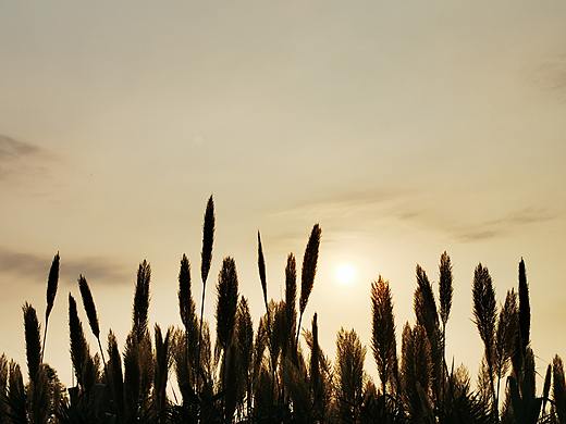 近期手機(jī)攝影（個(gè)人主頁(yè)-ZNDM4MTA3NjA=） - 風(fēng)光攝影 - 站酷設(shè)計(jì)師大末子原創(chuàng)素材 - 站酷ZCOOL