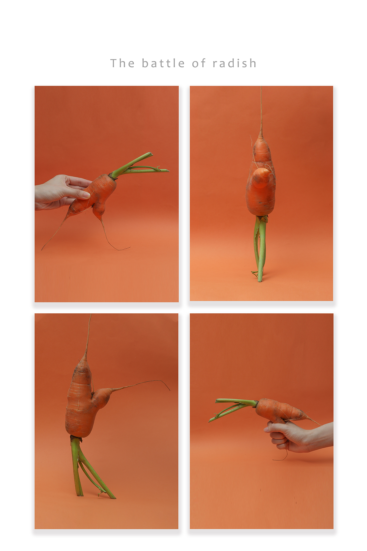 萝卜大作战（图ZMjMyNzc3NDcy） - 产品摄影 - 站酷设计师Foood原创素材 - 站酷ZCOOL