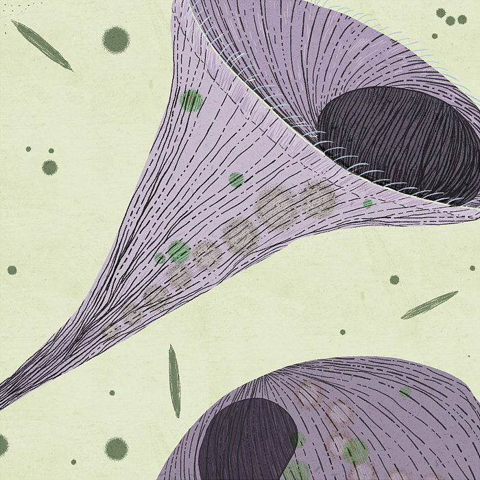 一滴水里有什么？（圖ZMzExNjY5MzM2） - 藝術(shù)插畫 - 站酷設(shè)計(jì)師畫畫的紙飛機(jī)原創(chuàng)素材 - 站酷ZCOOL