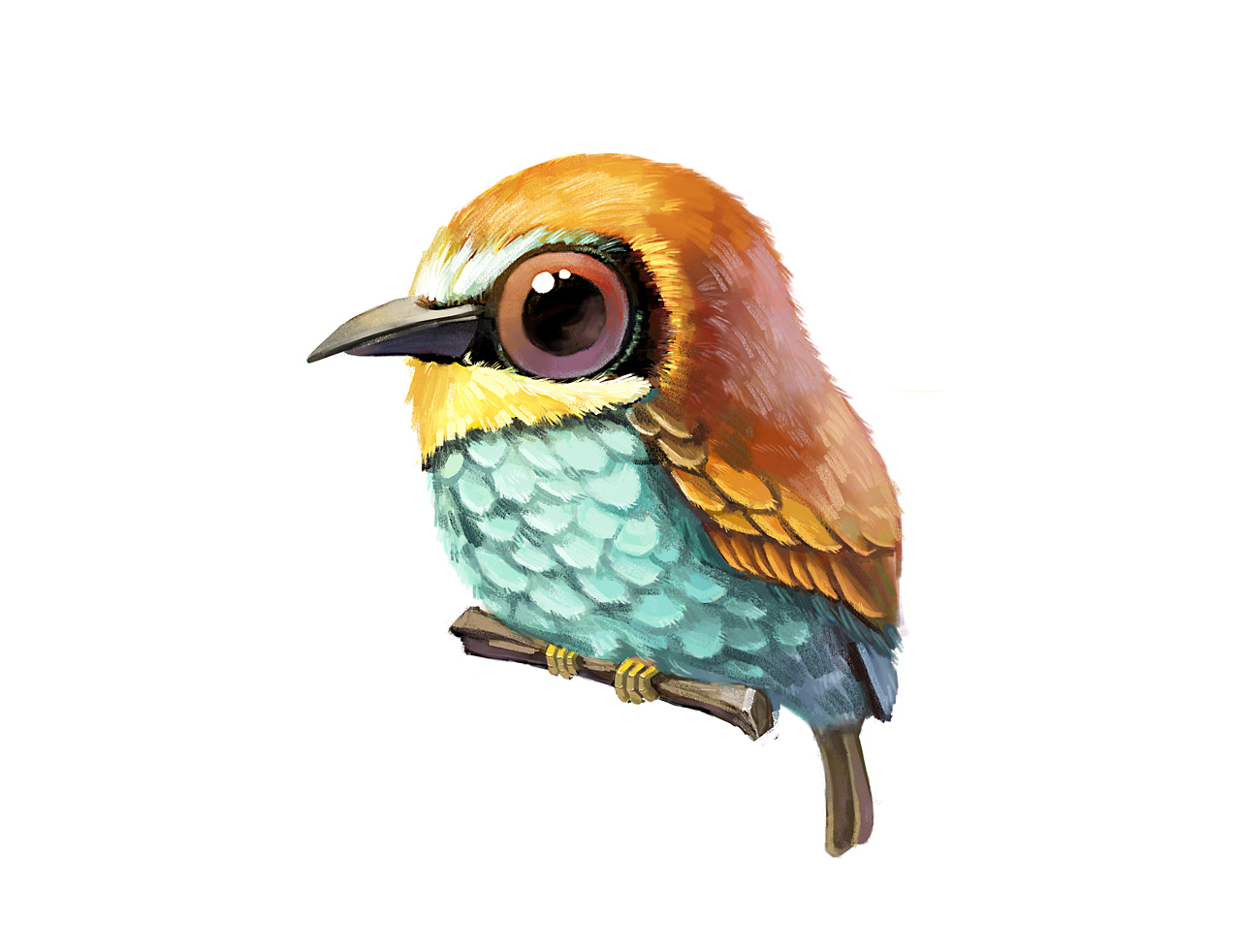 萌宠-鸟 厚涂技法