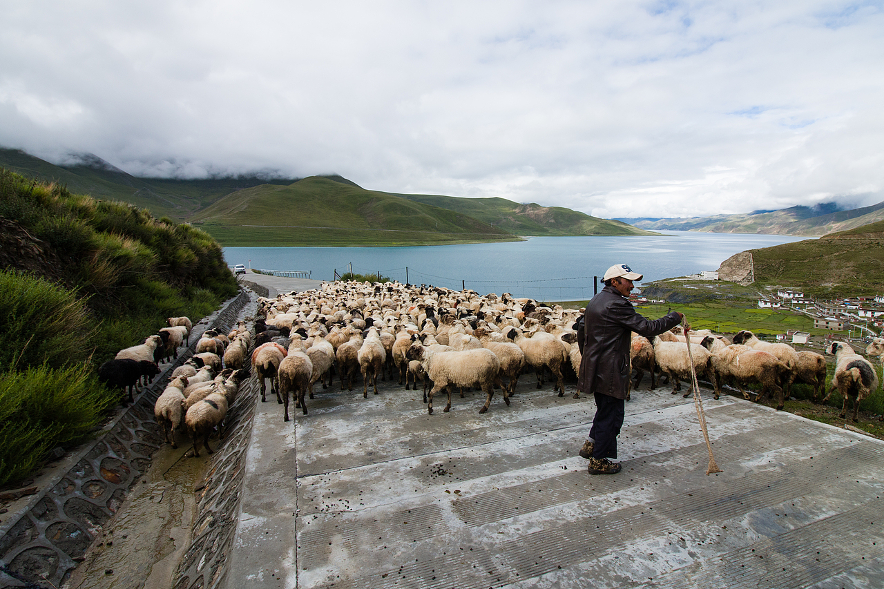 洛克兄弟川藏G318毕业骑行西藏元素羊湖玛尼珠峰大本营