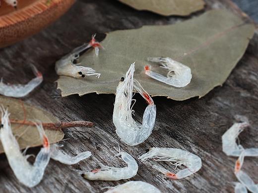 小虾皮（个人主页-ZMzYzNTA1Njg=） - 产品摄影 - 站酷设计师爱讲故事的Mia原创素材 - 站酷ZCOOL