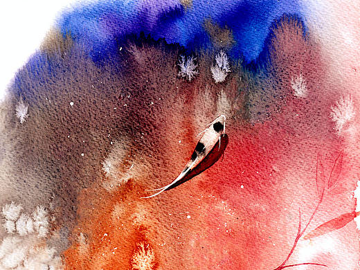 魚(yú)兒水中游（個(gè)人主頁(yè)-ZMzM3ODY2MA==） - 創(chuàng)作習(xí)作 - 站酷設(shè)計(jì)師parisa_zhang方姐原創(chuàng)素材 - 站酷ZCOOL