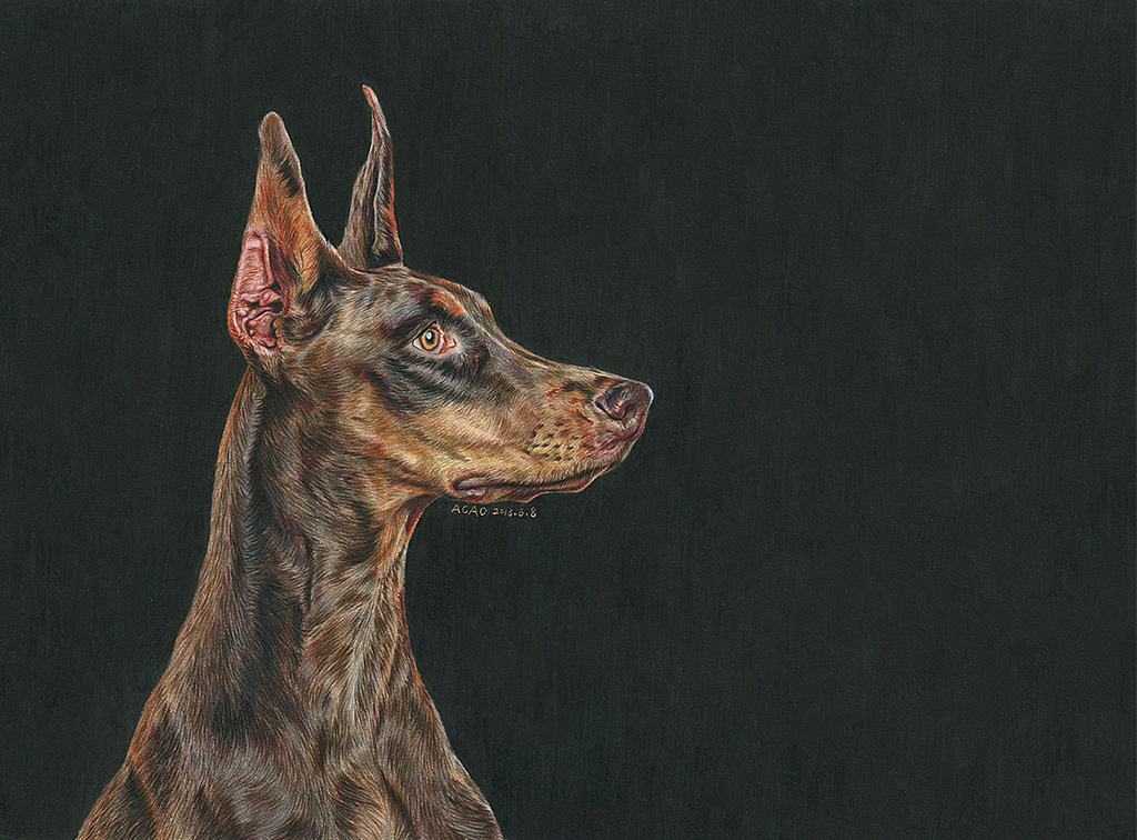 30张汪星人彩铅画-阿沁作品（图ZMTI4ODgzNjQ4） - 绘画 - 站酷设计师煜芮原创素材 - 站酷ZCOOL