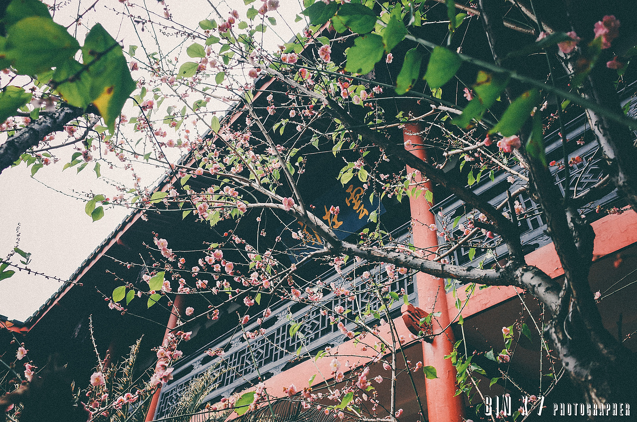 于山风景区 | 福州-理光GR2